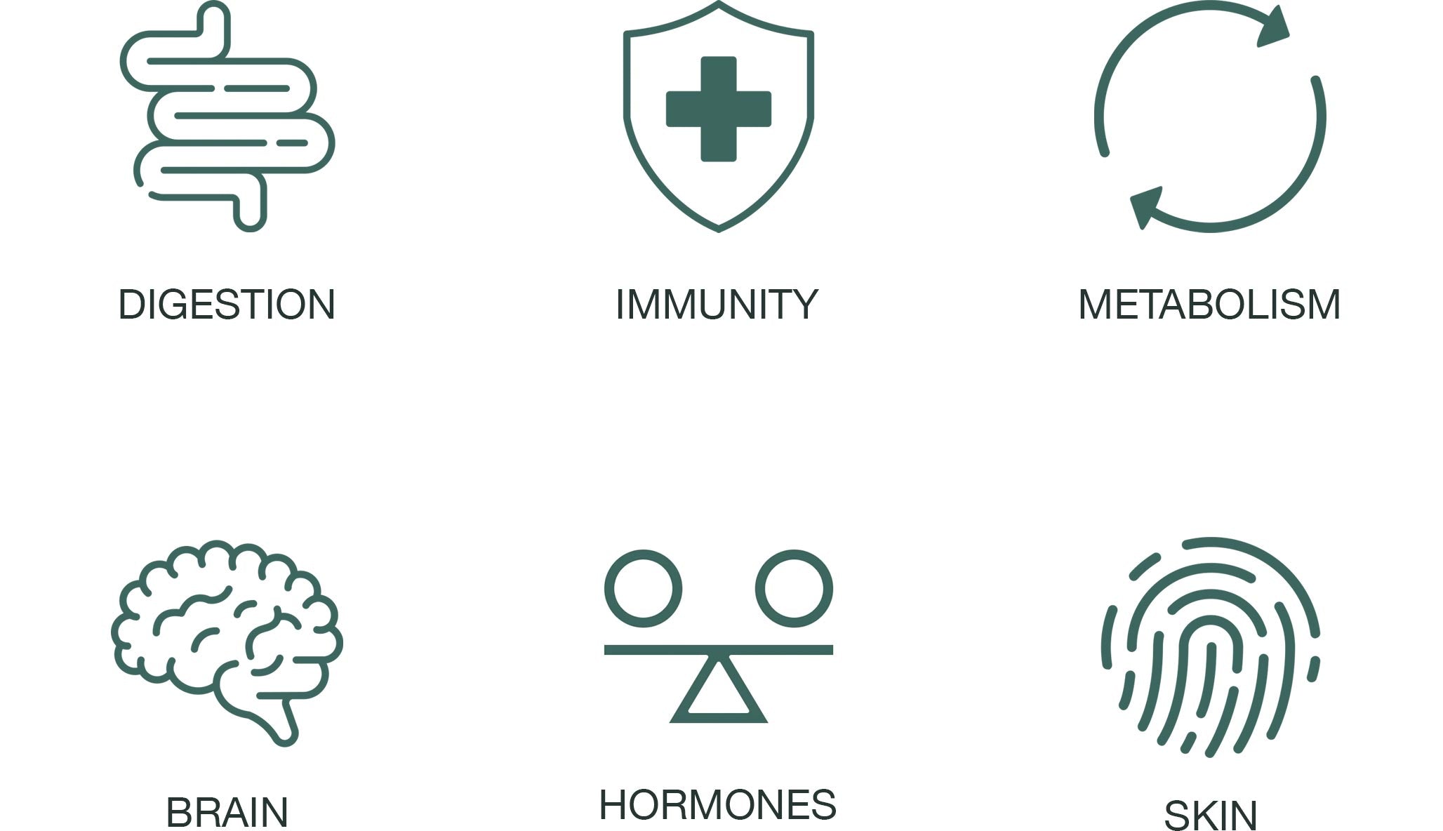 set of gut health symbols-digestion-immunity-brain etc on white background