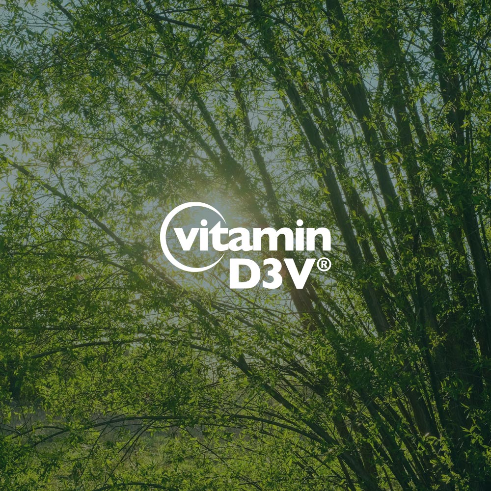 Vitamin D3V logo with a natural background of trees and sunlight.